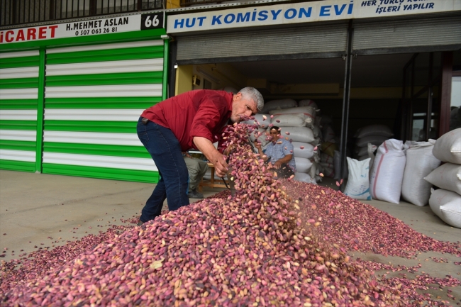 Antep fıstığının dalından baklavaya uzanan serüveni